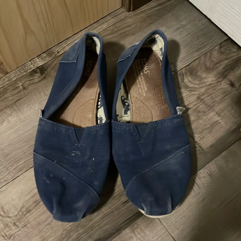 Tom’s Canvas Shoes